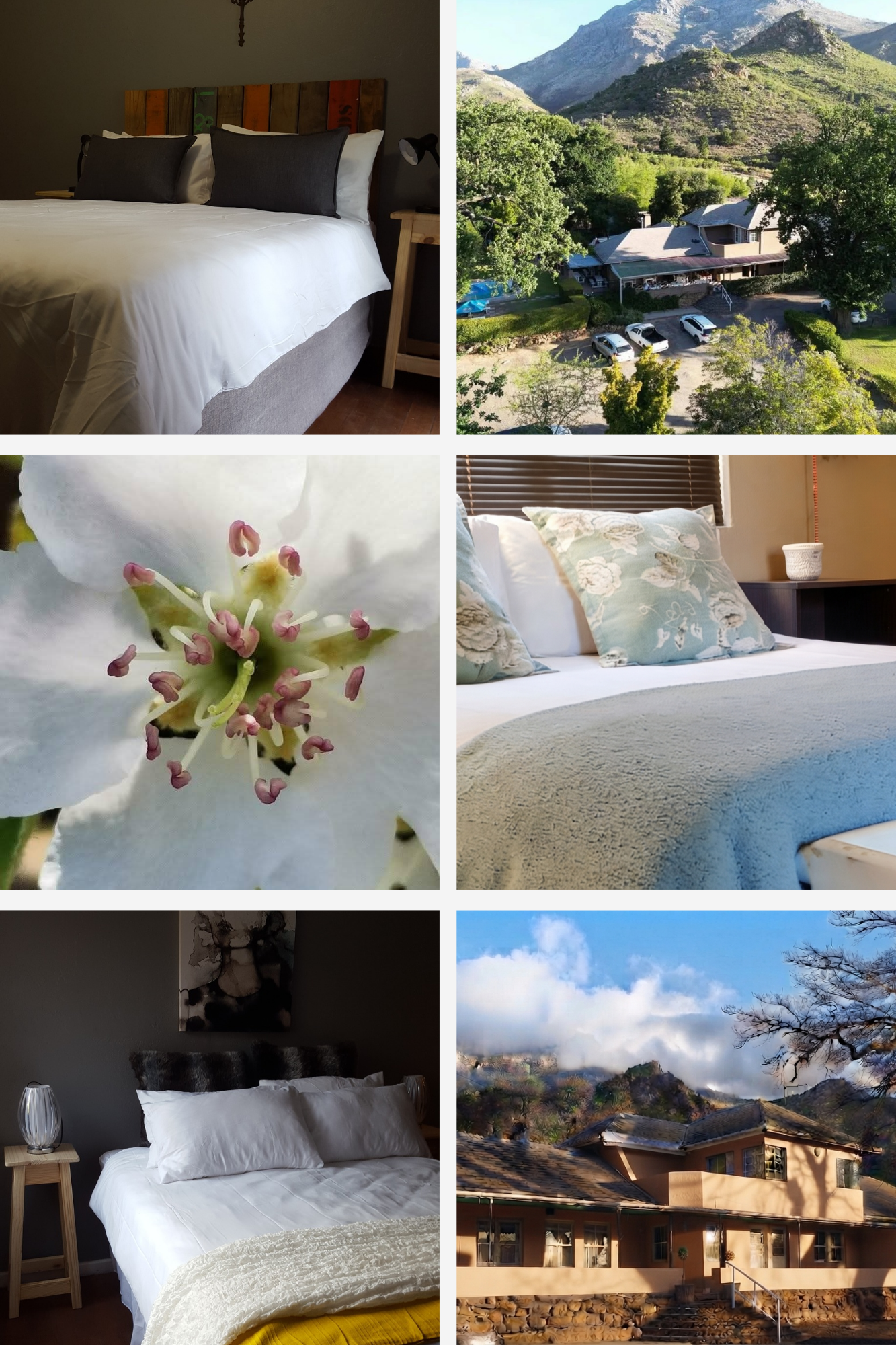 We offer 9 double, en suite rooms in a relaxed country environment